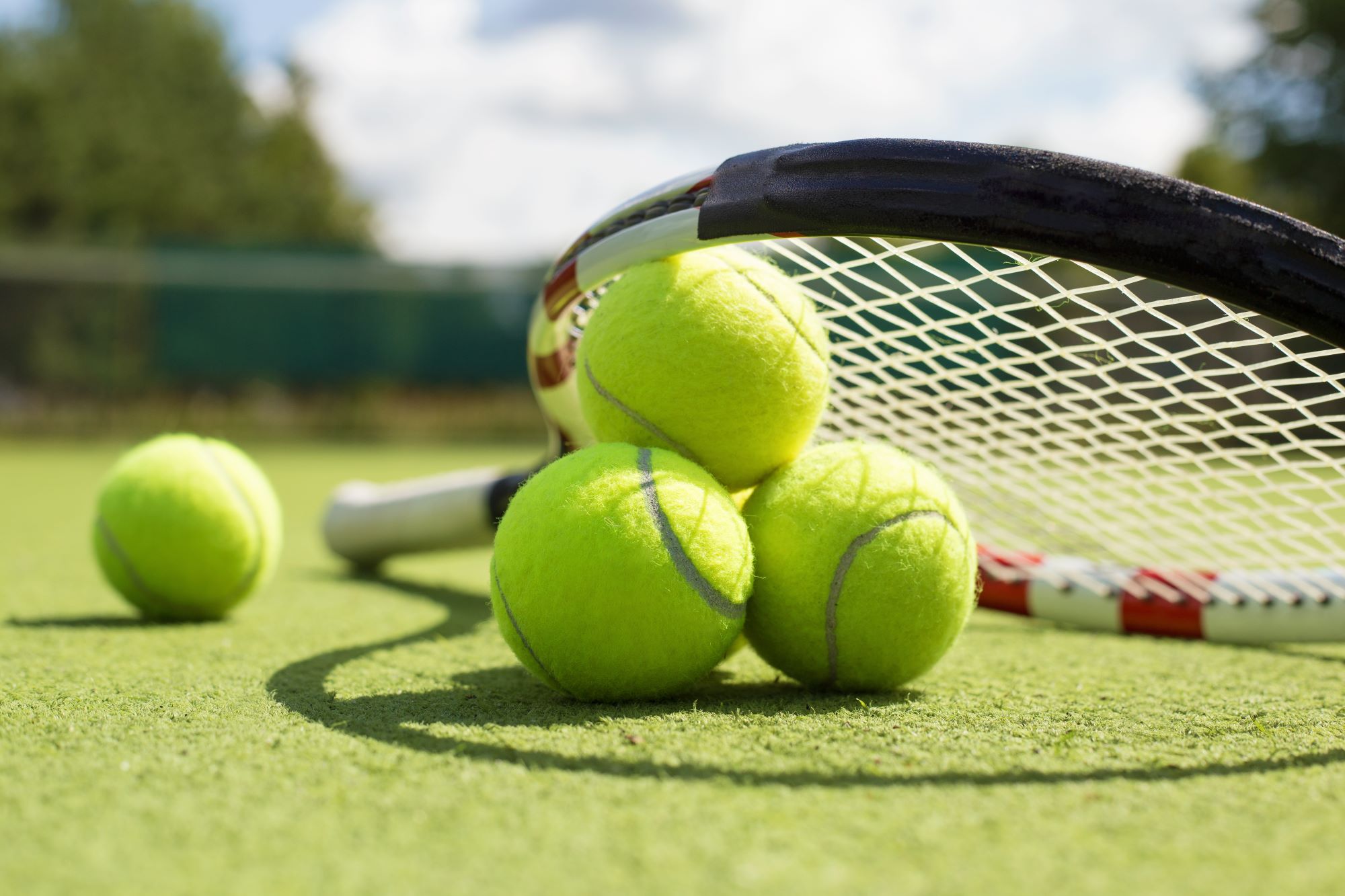 Phil Tennis
