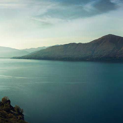 Oconnors Profile David Nature