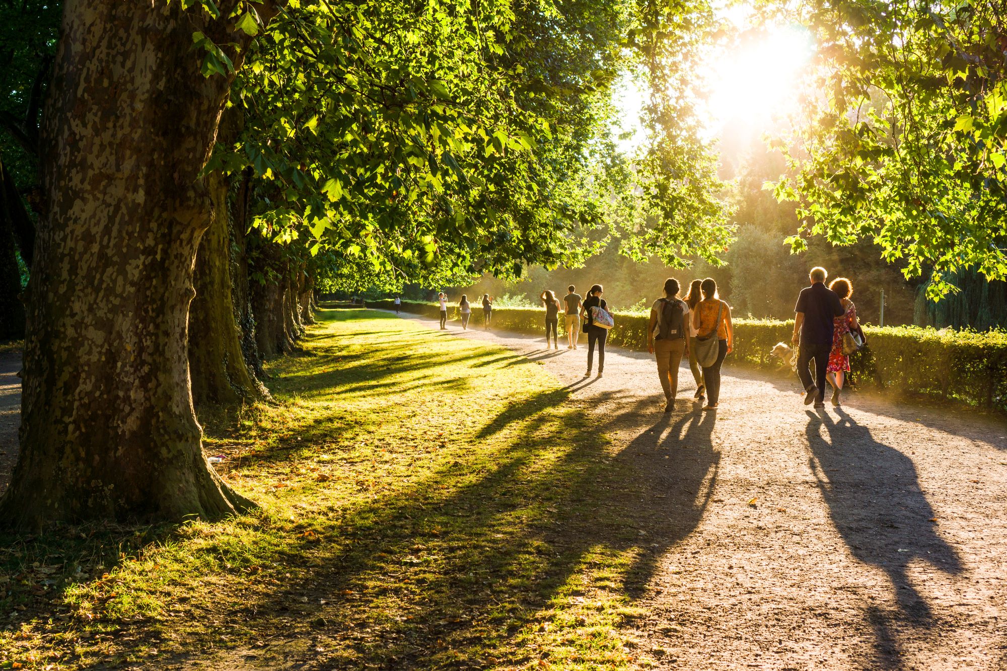 Walking in the park.jpg