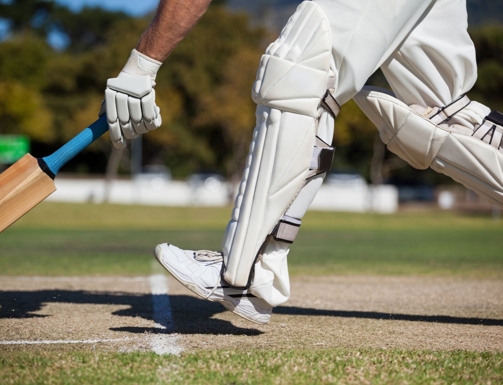 Cricket